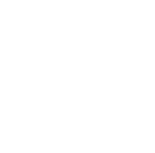 ALZHEIMER’S DIAGNOSIS