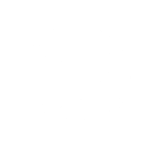WEB BROWSERS
