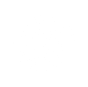 GRAVITATIONAL WAVES